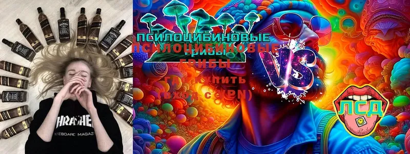 Галлюциногенные грибы Psilocybine cubensis  продажа наркотиков  Ефремов 